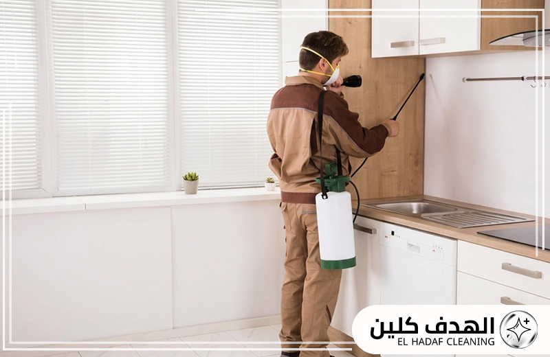 رقم شركة ابادة حشرات في القطيف للحجز السريع