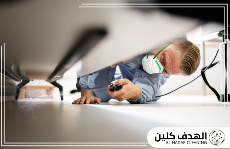 شركة مكافحة الحشرات بالقطيف